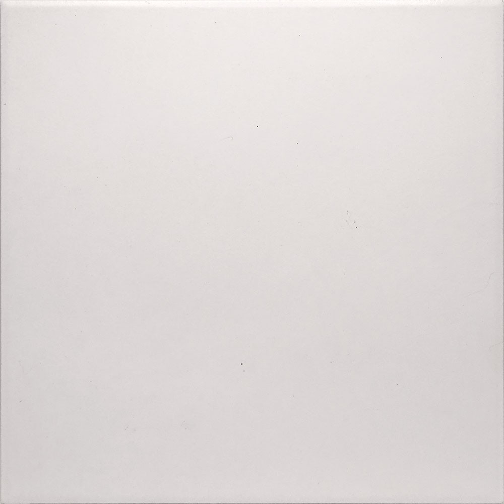 Ref : BLANC 90  21x21