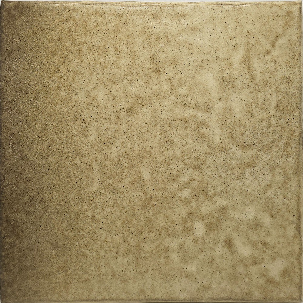 Ref : MOSS 107  20x20