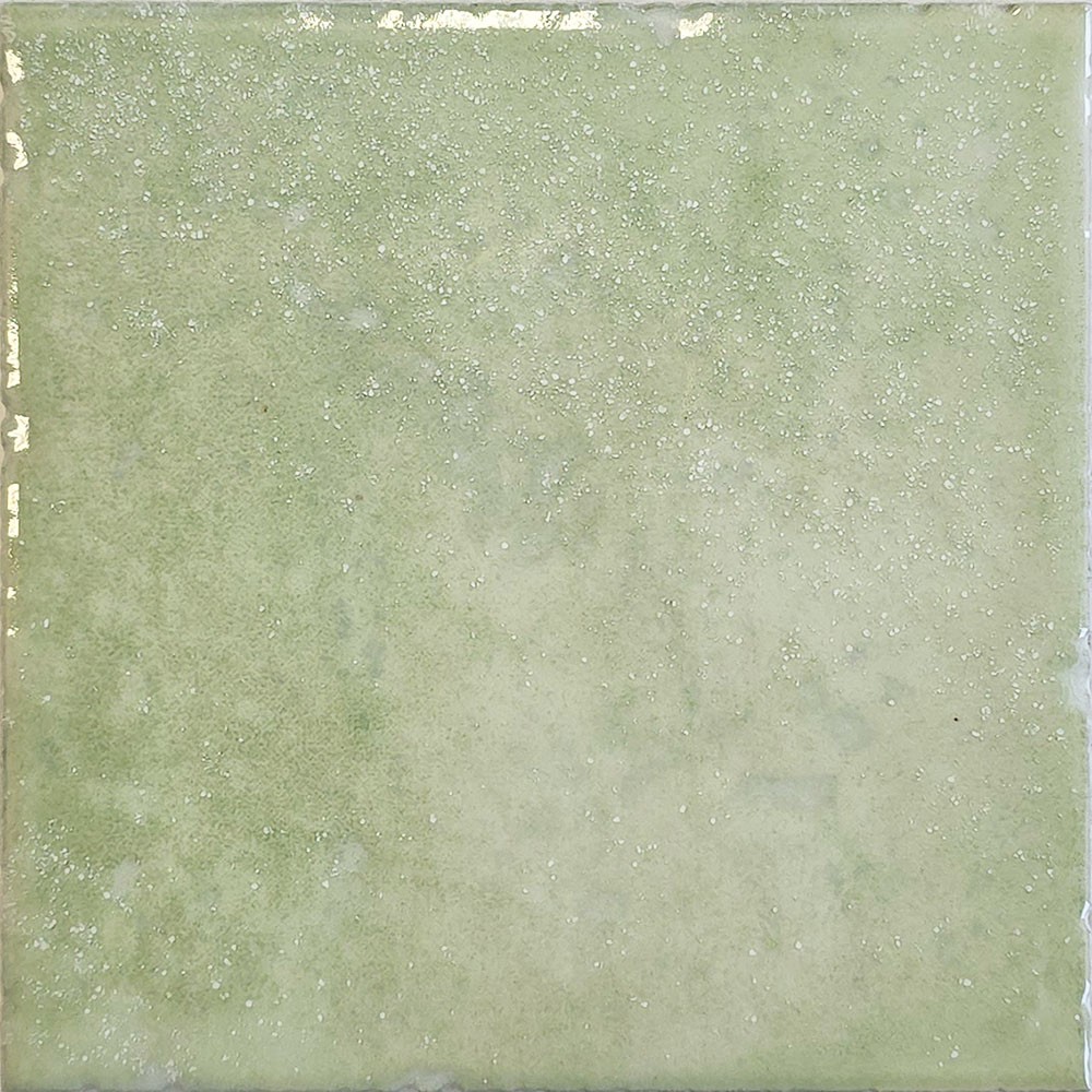 Ref : SALATA C49  10x10