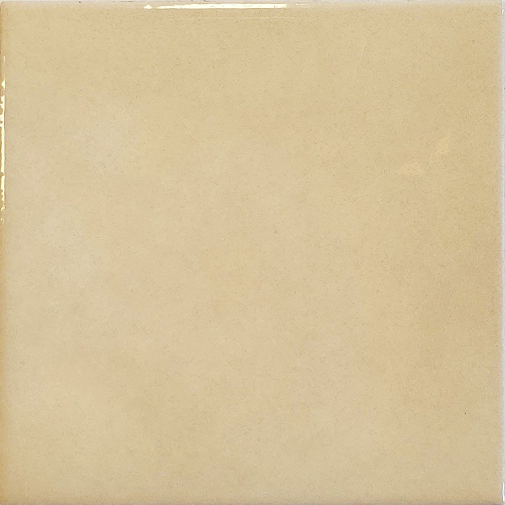 Ref : BISCUIT FONCÉ  10x10