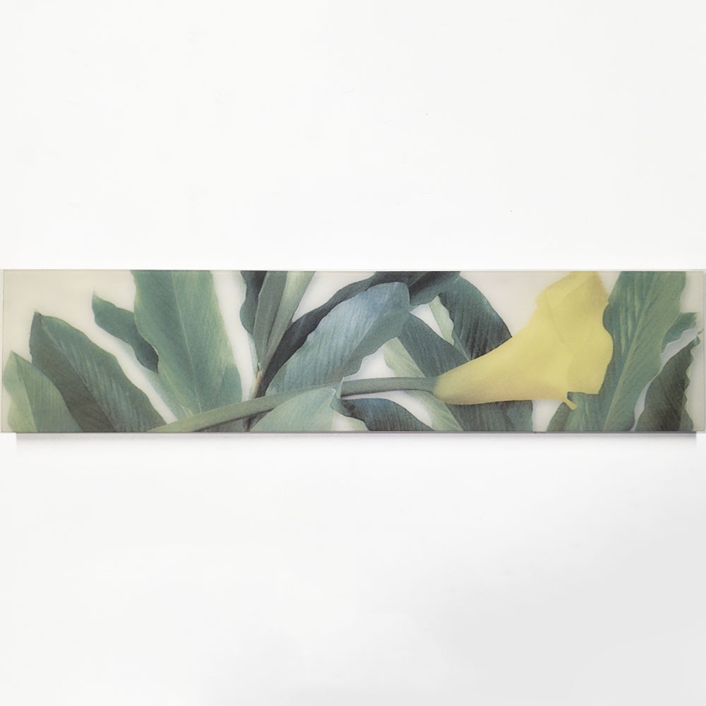 Ref : LISTEL ARUM28  6,5x28