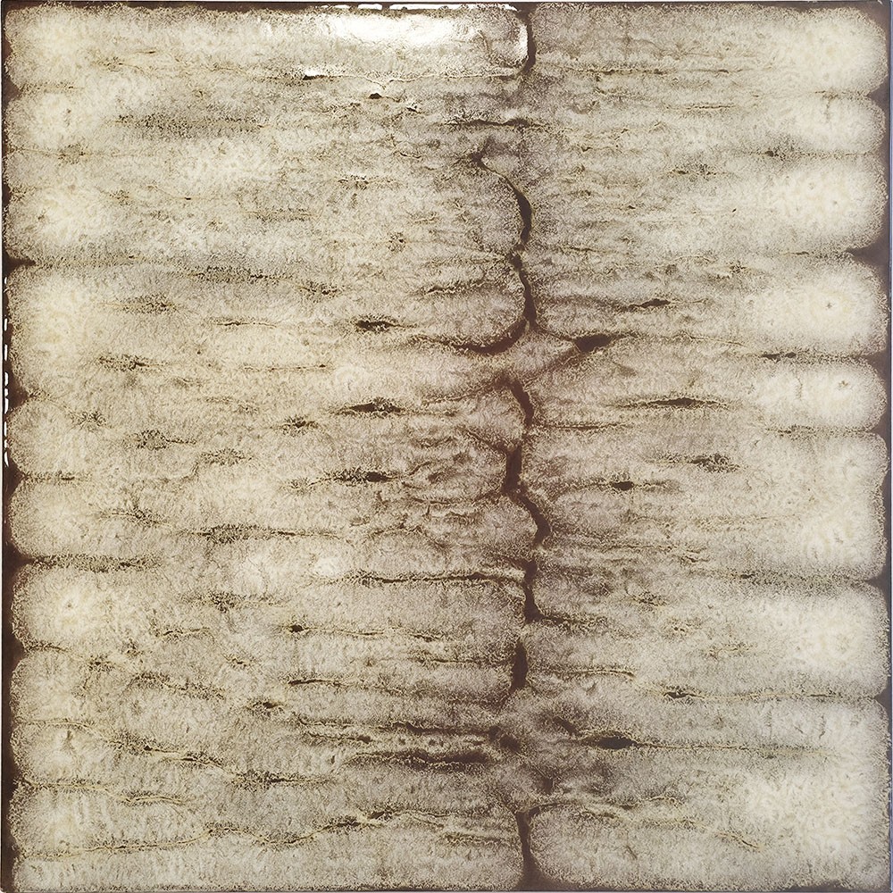 Ref : PEAU DE SERPENT  25x25