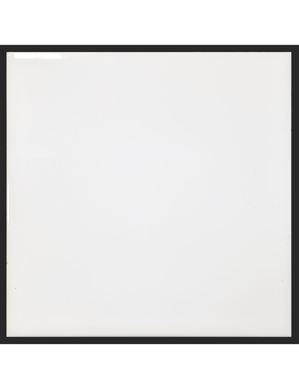 Ref : BLANC BRILLANT CONCEPT  20x20