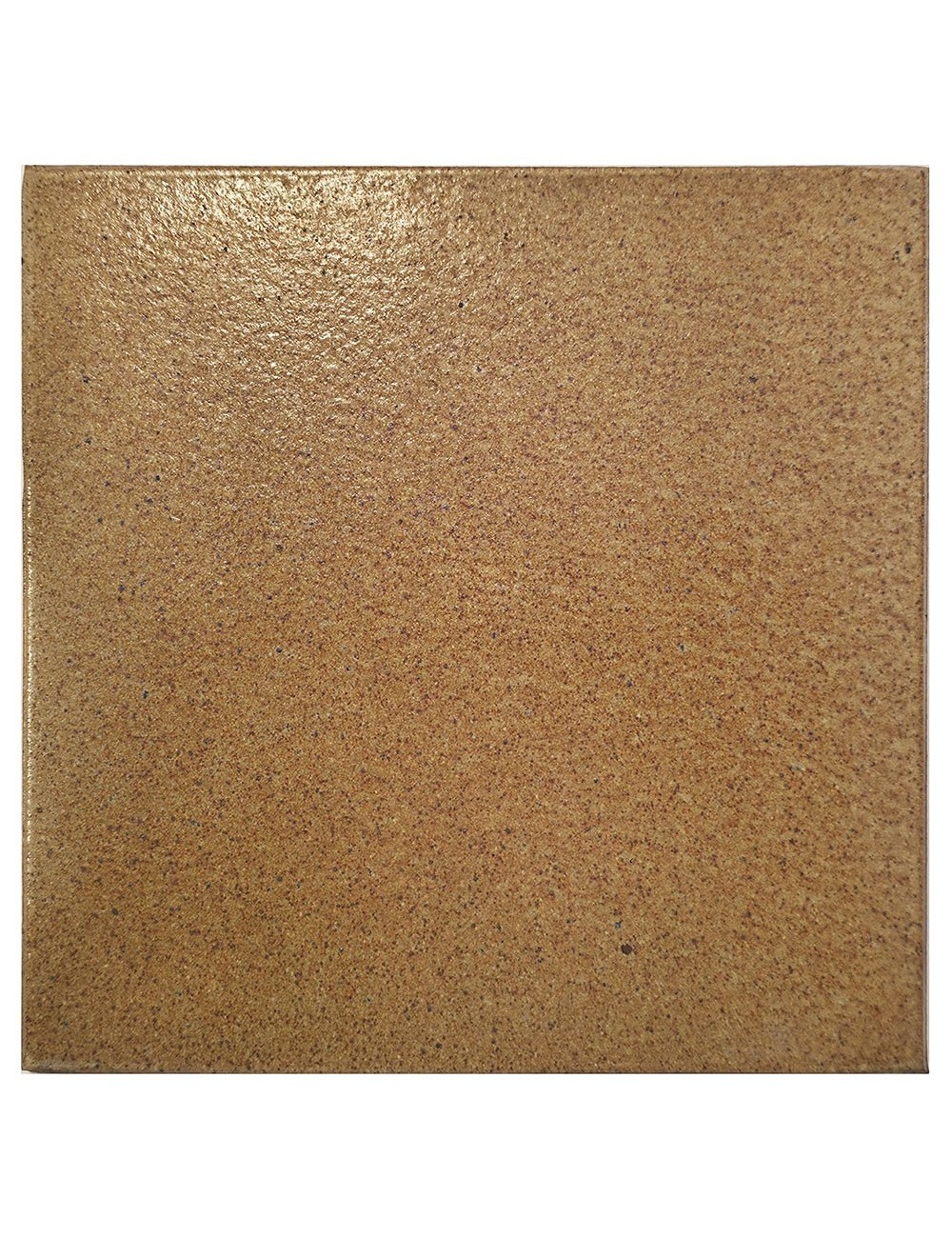 Ref : ALPINA BEIGE  19,5x19,5