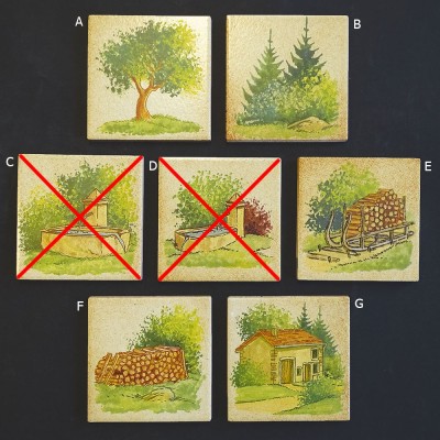 Ref : METZ DÉCORS CAMPAGNE  10x10
