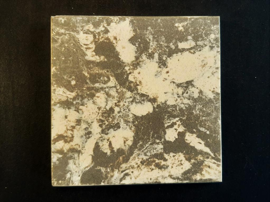 Ref : PORPHYRE N° 831  10x10