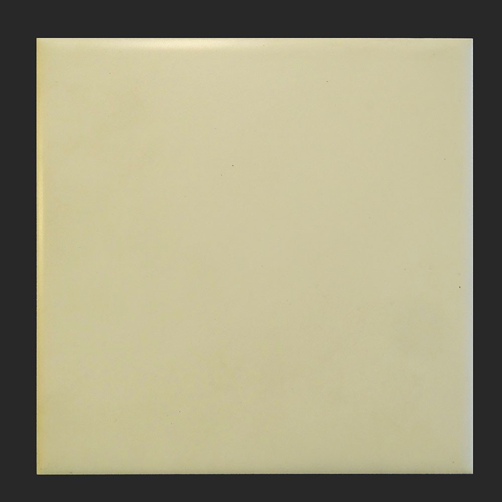 Ref : BEIGE MAT N°20  15x15