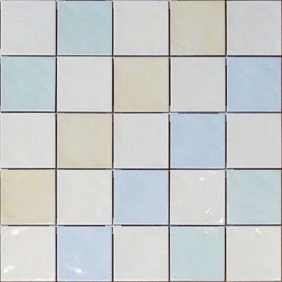Ref : FIORDALISO 09TM5  10x10