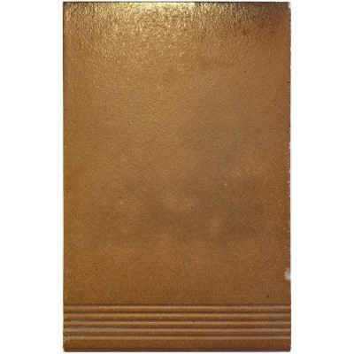 Ref : MARCHE STRIÉE ÉRABLE  20x30