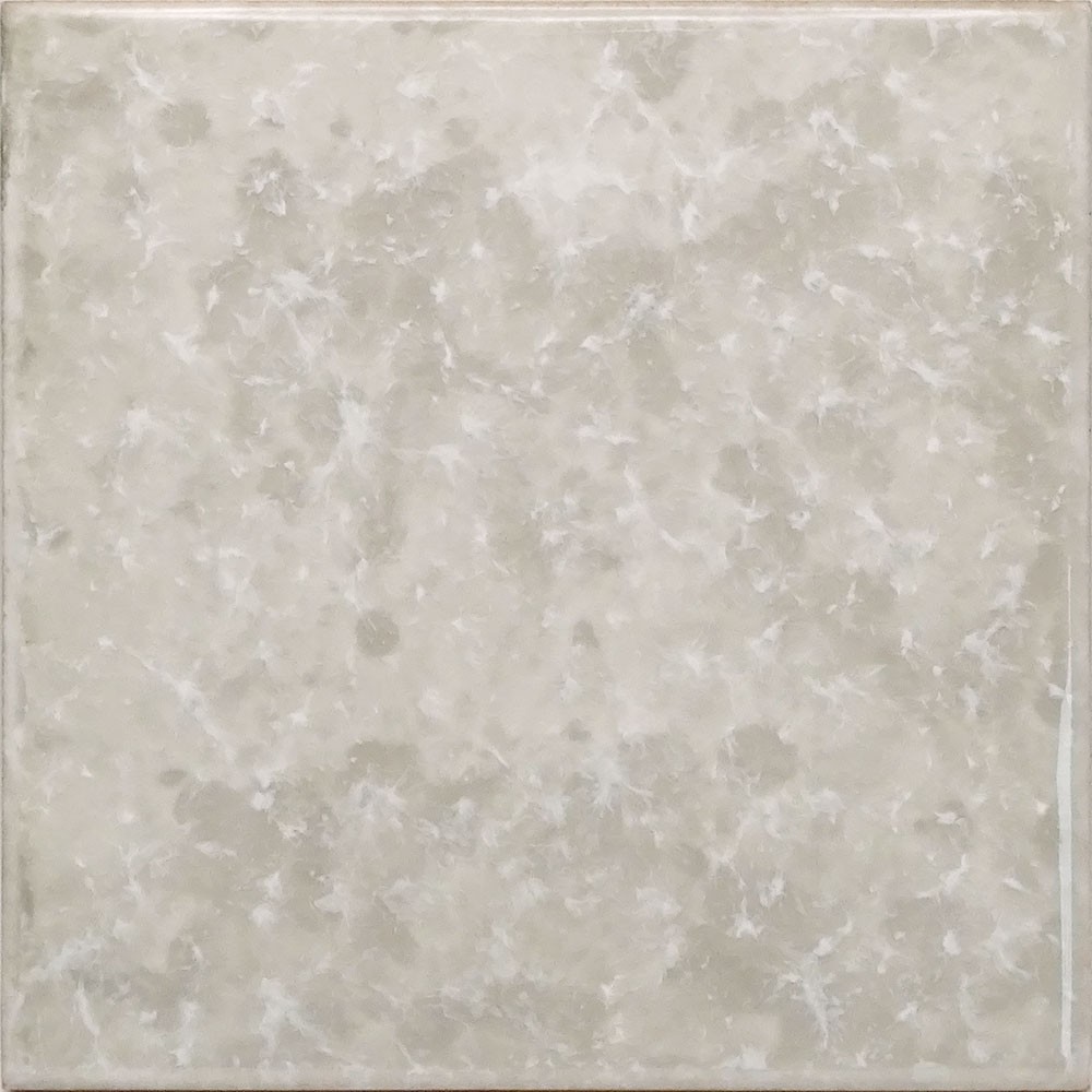 Ref : SILENE 903  15x15