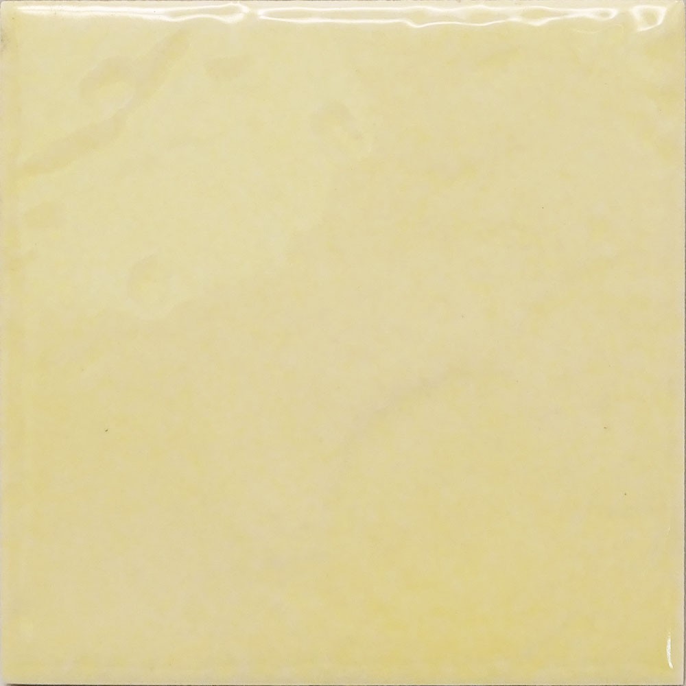 Ref : MP123 T505  10x10