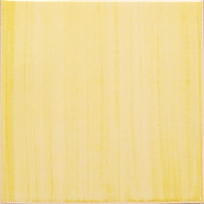 Ref : PRIMULA GIALLO  10x10