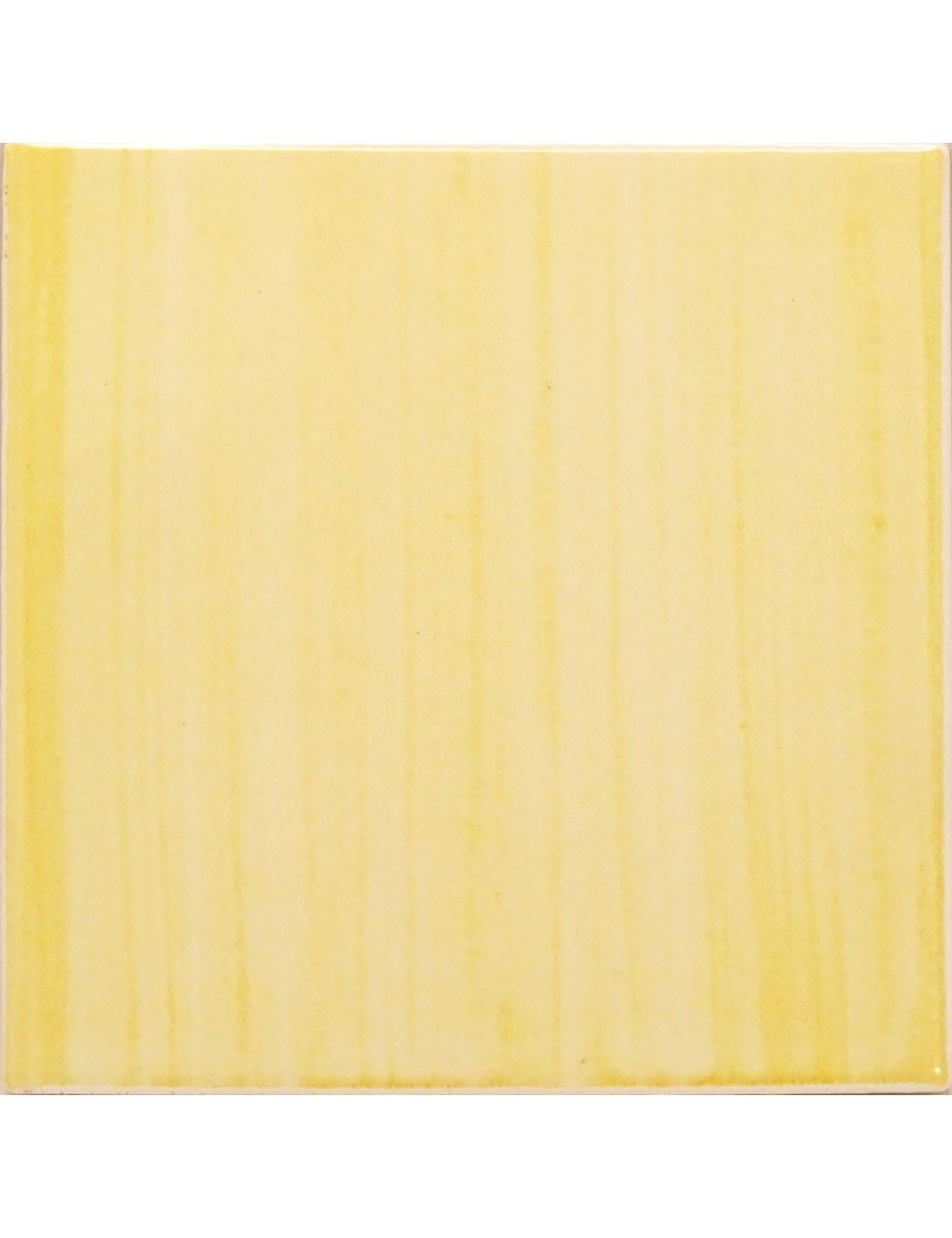 Ref : PRIMULA GIALLO  10x10