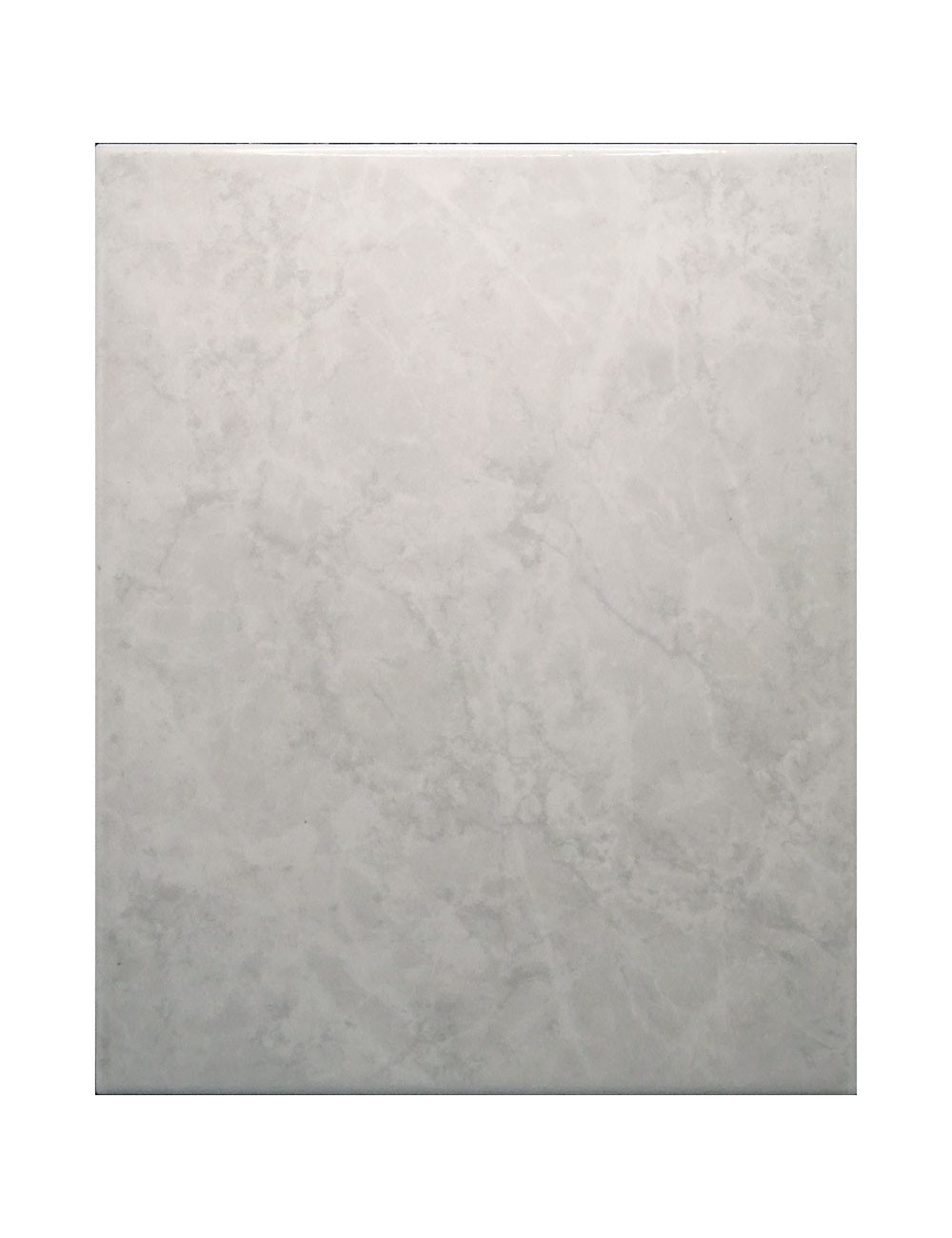 Ref : SAVOIA 1-24  20x25