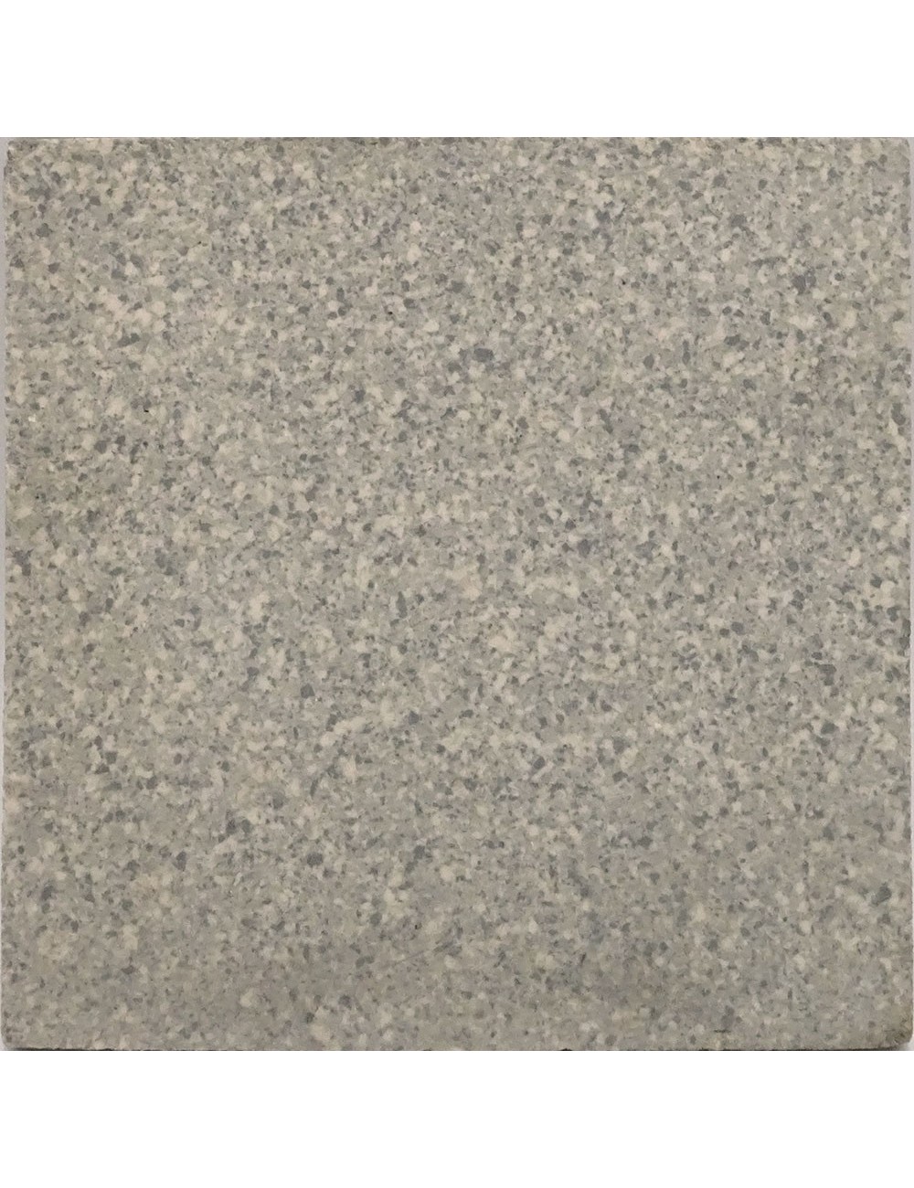 Ref : PORPHYRE MG37  10x10